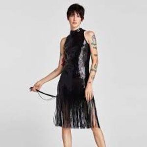 Zara | NWOT Sequin Fringe Dress